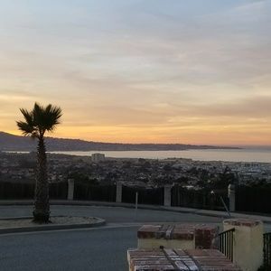 Meet your Posher, Maurice